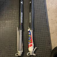 Forcelle beta RR marzocchi