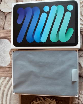 iPad Mini Wi-Fi + Cellular 256GB