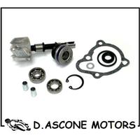KIT REVISIONE POMPA ACQUA KYMCO DINK 250