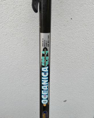 Canna da pesca surf casting 