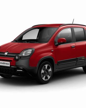 FIAT Pandina Pandina 1.0 FireFly 65 CV Hybrid C...