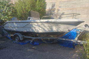 Barca motore carrello