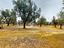 Immagine 28