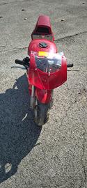 minimoto bambino motore a scoppio 2t