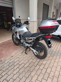 Honda transalp 650 2005