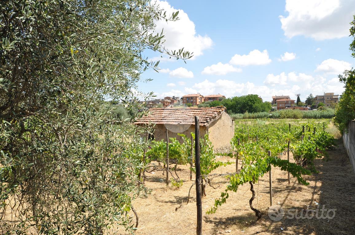 RUSTICO A ROMA - Vista 3