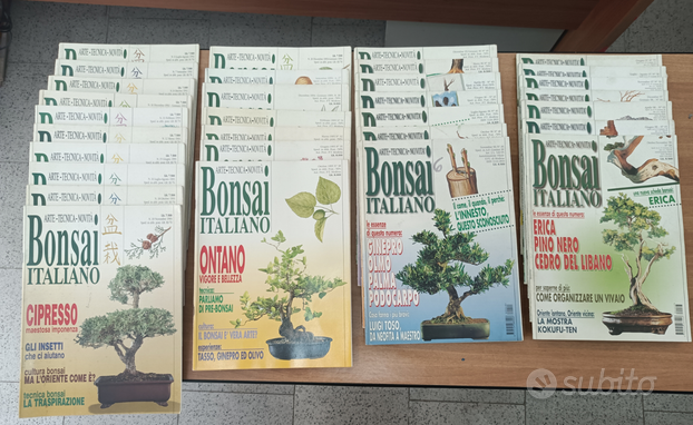 Bonsai italiano, usato usato  Brindisi