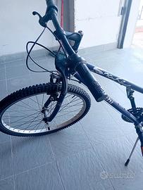 Bici mountain bike donna Bianchi