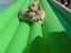 Immagine 3