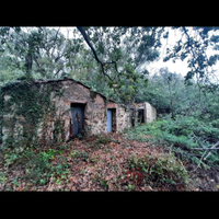 Terreno agricolo con annesso