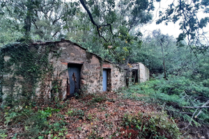 Terreno agricolo con annesso