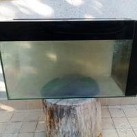 Acquario con accessori