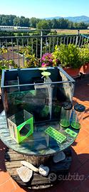 sump acquario marino con refugium in forex