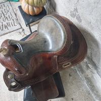 Sella americana 15.5 "Tomas"