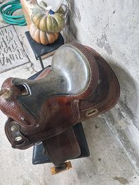 Sella americana 15.5 "Tomas"