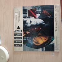 lp Sting 