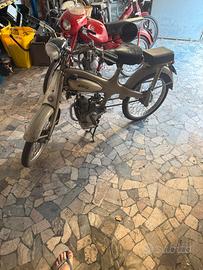 Motom 48 Bacchetta