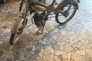 Motom 48 Bacchetta