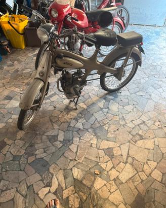 Motom 48 Bacchetta