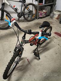mtb r20