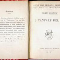 Il Cantare Del Cid