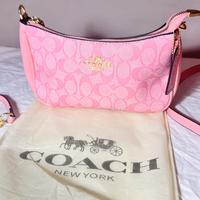 Borsa coach