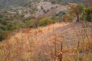 Terreno + Rudere Castelmola