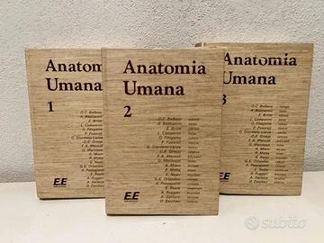 Libri Anatomia Umana Edi-Ermes – 3 Volumi