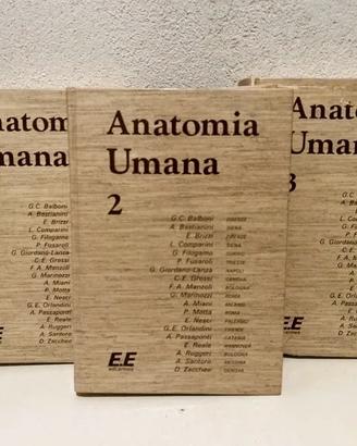 Libri Anatomia Umana Edi-Ermes – 3 Volumi