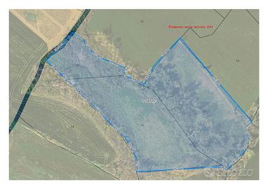 Terreno agricolo San Clemente (RN)