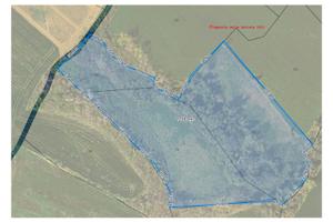 Terreno agricolo San Clemente (RN)