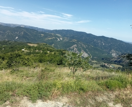Terreno di montagna
