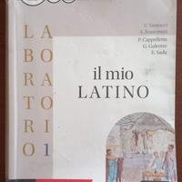 Il mio latino - Laboratorio 1
