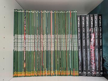 Fumetto TMNT teenage mutant ninja turtle