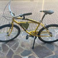 Bici Brumotti Svitol
