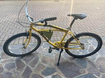 Bici Brumotti Svitol