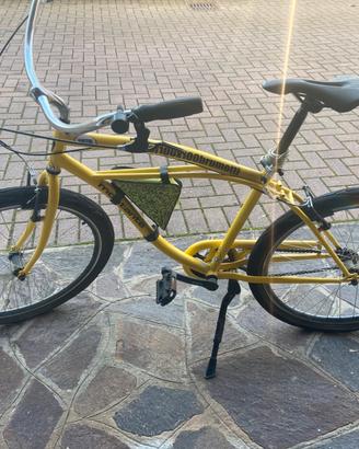 Bici Brumotti Svitol