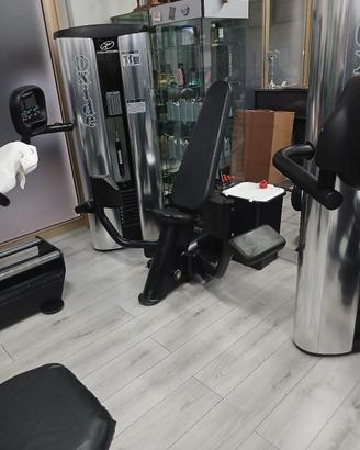 dischi e macchine per palestra in ottime 