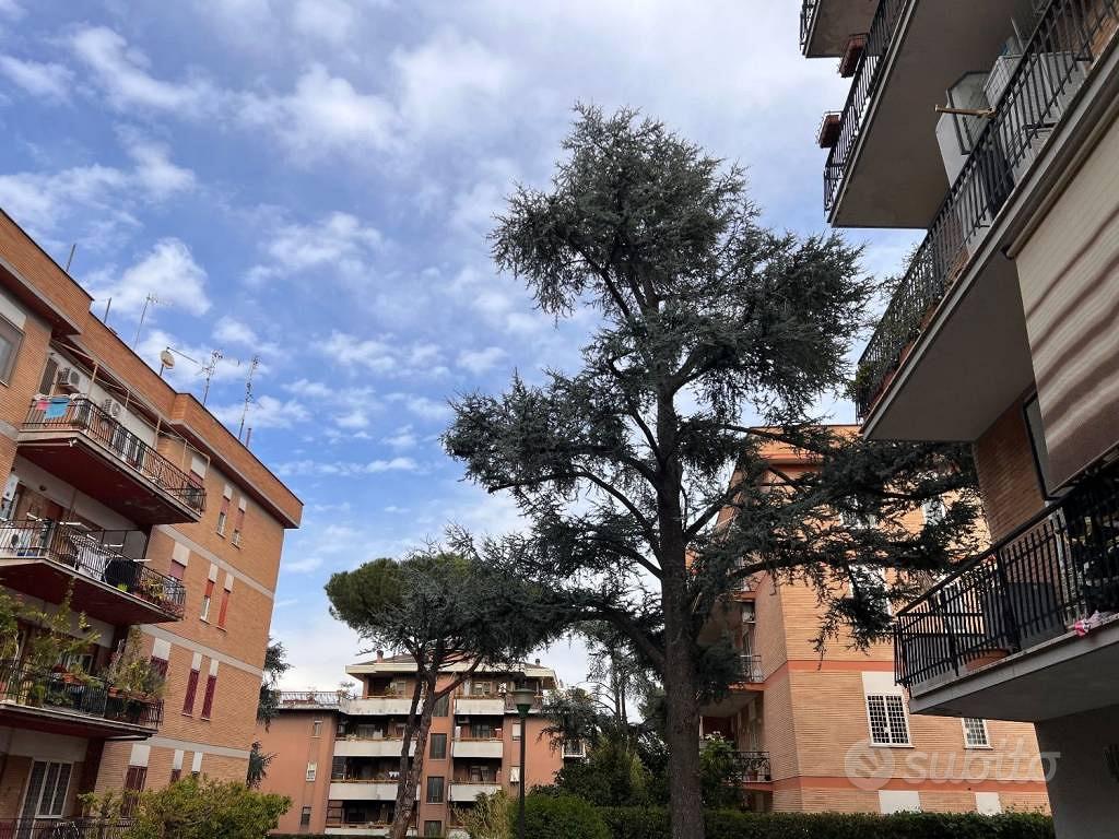 Appartamento – RM - Vista 5