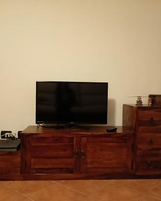 mobile porta tv
