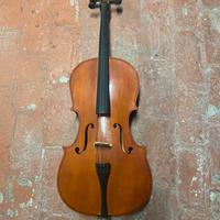 Violoncello 3/4