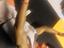 Immagine 6