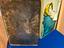 Immagine 2