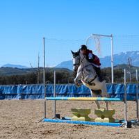Super Pony