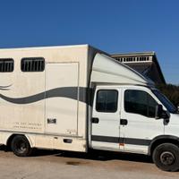 Camion Iveco Daily trasporto cavalli