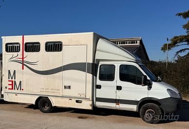 Camion Iveco Daily trasporto cavalli