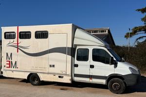 Camion Iveco Daily trasporto cavalli
