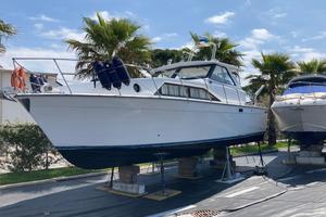 Trojan  Bertram natante