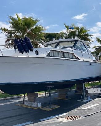 Trojan  Bertram natante