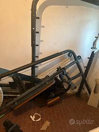 Palestra